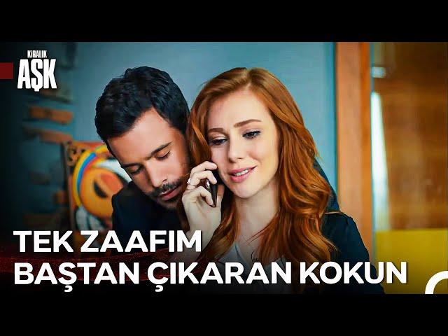 Defne ve Ömer'in Aşkı Bulma Yolculuğu - Kiralık Aşk