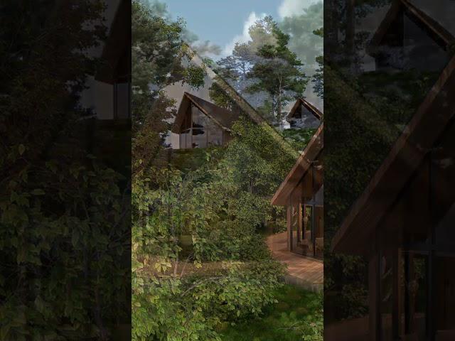 Modern Scandinavian Houses in the Forest