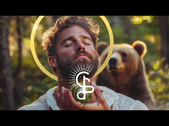 Reclaim Your Power | 396 Hz Bear Spirit Animal & Serpentine | Master Your Boundaries