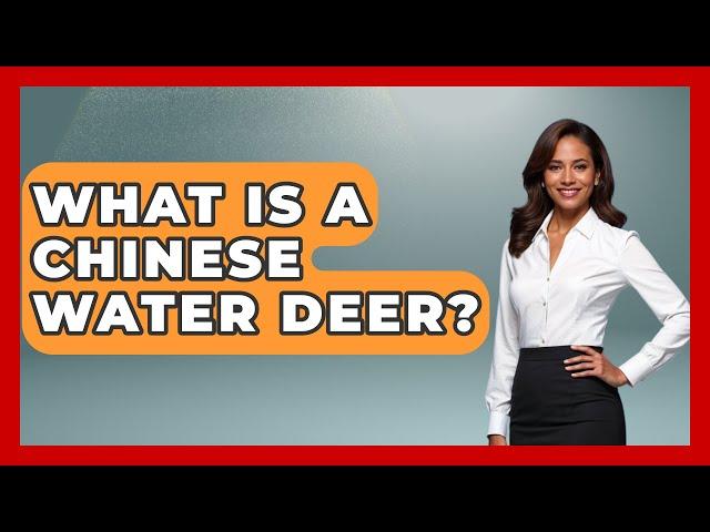 What Is A Chinese Water Deer? - The Wild Life Explorer