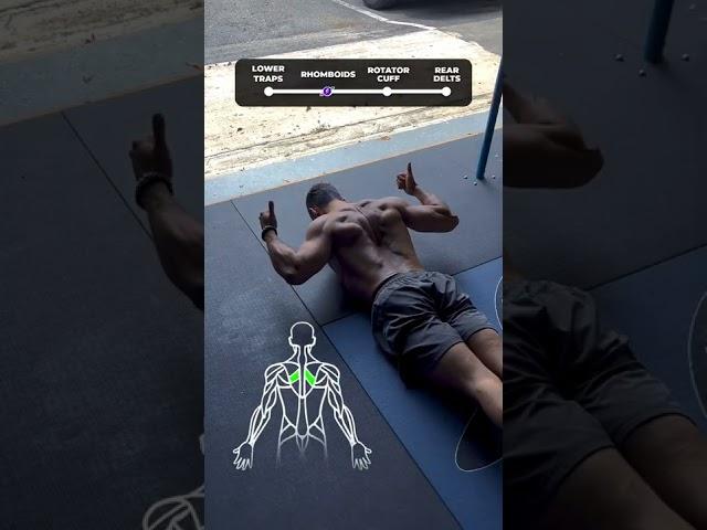  4 Shoulder Stability Exercises!