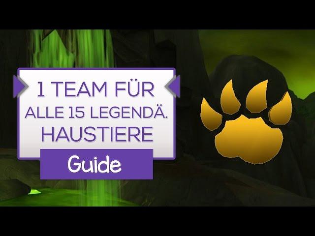 Alle 15 legendären Tanaandschungel Haustiere mit 1 Team besiegen! 6.2 Guide  [WoW]