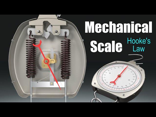 How does a Mechanical Scale work? (Spring Scale)