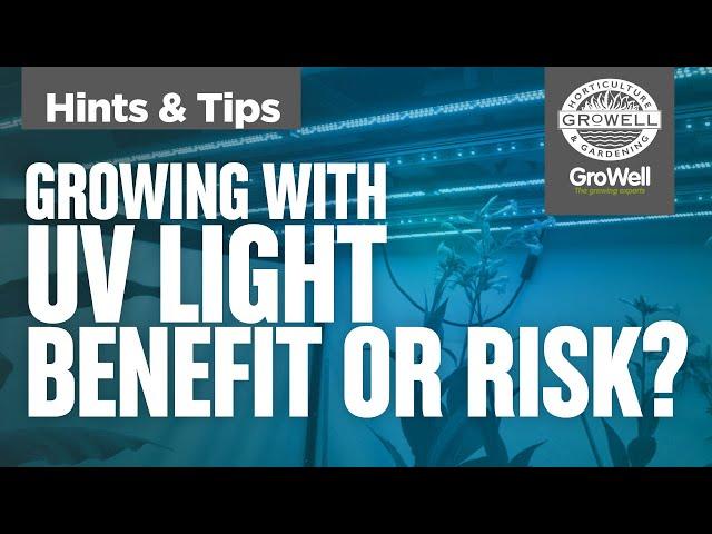 What are the risks & benefits of adding UV light to your grow? | Maxibright LED Bar | Hints & Tips