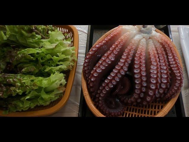 [주문진 문어] 문어숙회, 쪄서 먹기 / How to eat Giant Octopus, Korea  / 巨型章鱼 / 巨大タコ