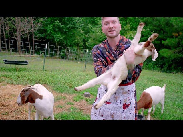 Farm Chores with Matt Mathews | Farm Life | Farm Chores