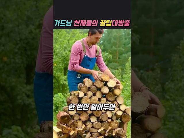 안보면 후회할 정원가꾸기 꿀팁대방출 #가드닝 #노하우 #아이디어