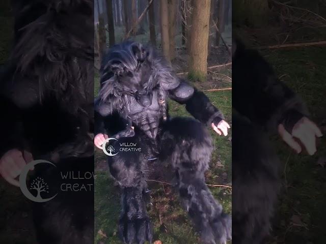 Its #internationaldogday Werewolf costume