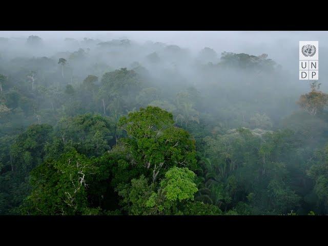 Biodiversity COP16: What’s at Stake