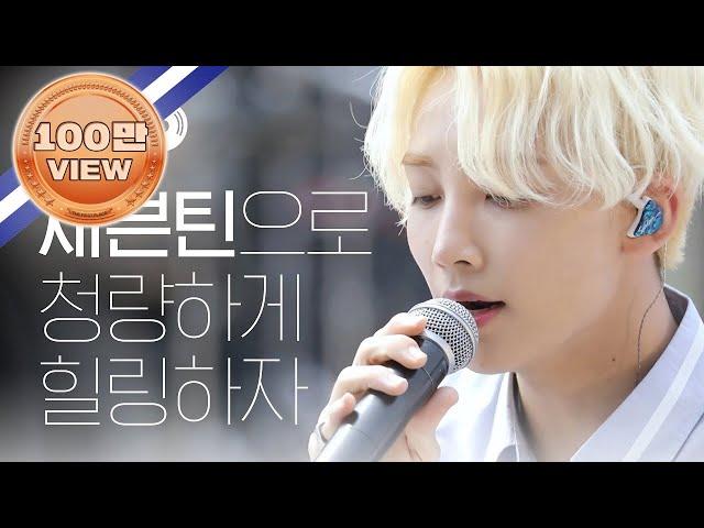 [월요병예방] 기억 조작 청량돌 '세븐틴' 과 함께 힐링 타임 l #피크닉라이브소풍