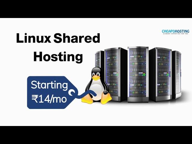 Unlimited Web Hosting.