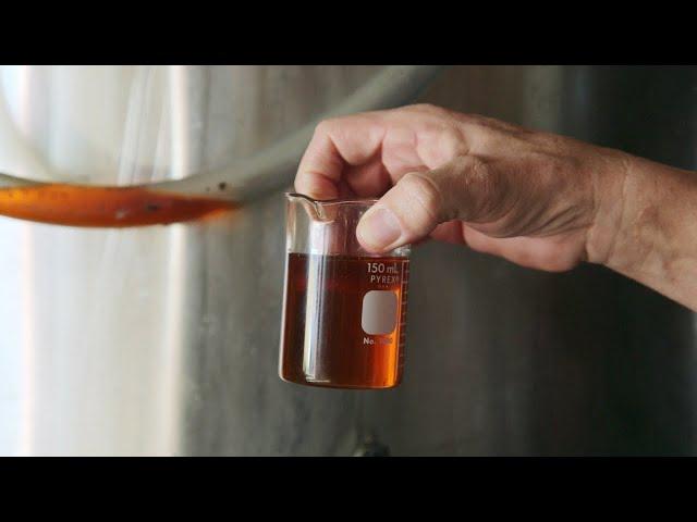 From Fat To Fuel, See How Biodiesel Is Made! | Hot Grease