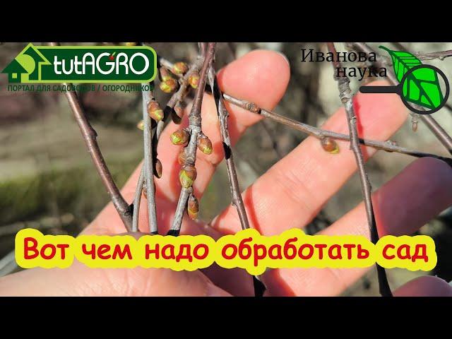 НЕ ОПОЗДАЙТЕ С ЭТОЙ ОБРАБОТКОЙ САДА! Чем обработать деревья и кустарники в АПРЕЛЕ?