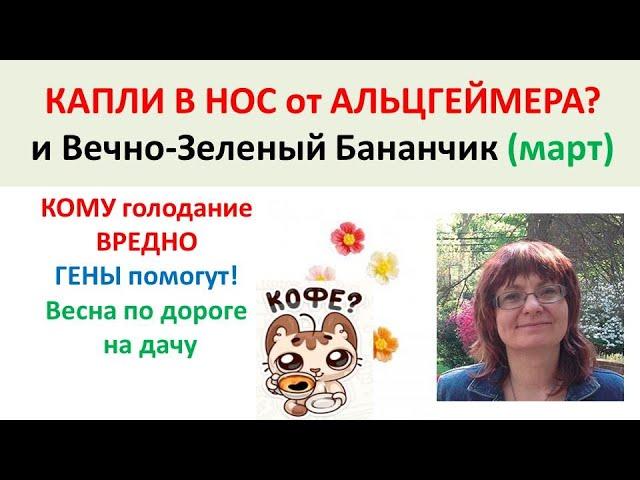NAP пептид от Альцгеймера. Вечно Зеленые Бананы