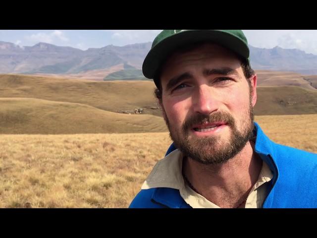 Exploring Giant's Castle's Berg View hiking trail in the Drakensberg