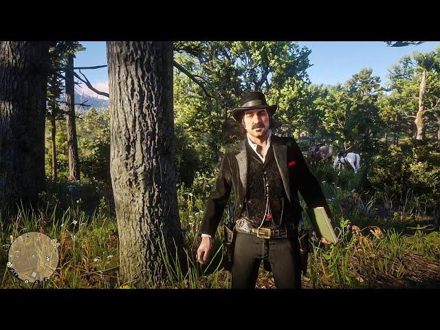 What About The Blackwater Money, Dutch? - Red Dead Redemption 2