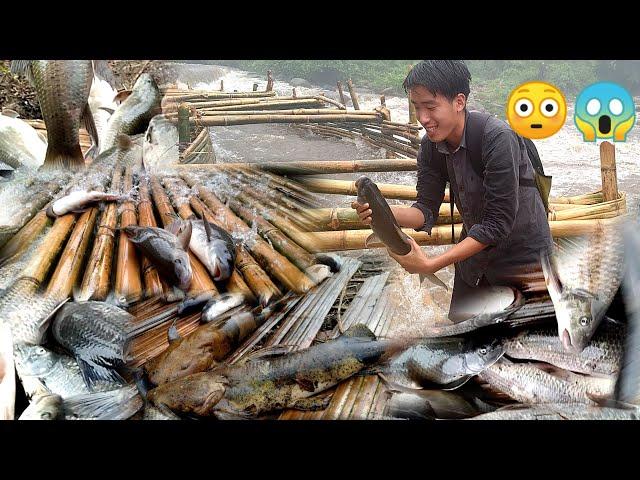 NYISHI TRIBE TRADITIONAL CULTURE FISHING STYLE OF SEPE (trap)| IN PAPUM RIVER| NORTHEAST REGION|