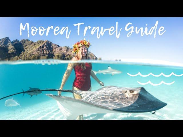 10 Things You Must Do in Moorea - Travel Guide