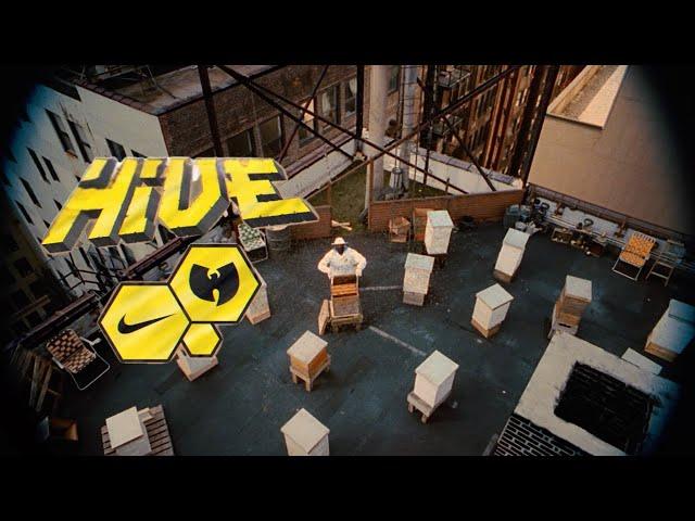 Enter the Hive