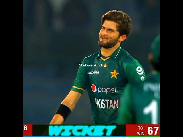 Shaheen Afridi Special full screen WhatsApp status //Shaheen Afridi King/