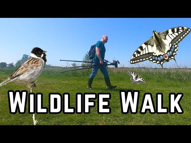 A Wonderful Wetland Wildlife Walk!