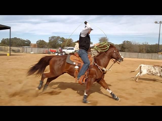 Patrick Smith | Delivery | DRIVEN | Team Roping — Heeling Tips