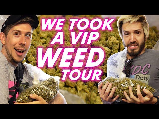 We Took A VIP WEED Tour In LA! | Hat Films VLOG #5