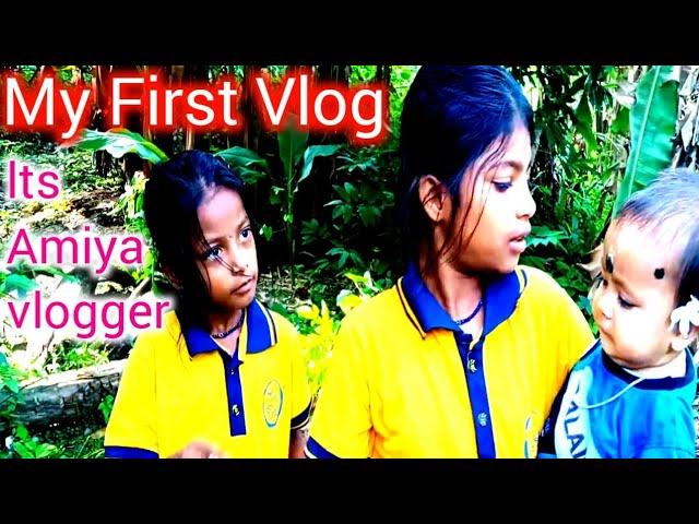 My First Vlog ️ || It's Amiya Bloger