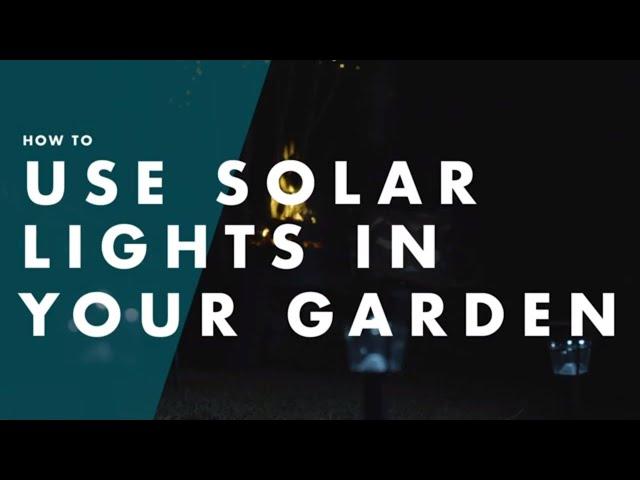 How To Use Solar Lights In Your Garden - Bunnings Warehouse