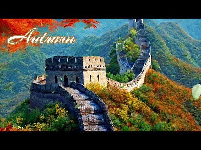 Great Wall China  | 4 seasons in 1 hr | Oil Painting | Ambient Music #489