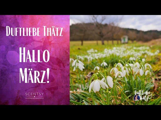 Hallo März! | Neuerungen & Infos | Scentsy deutsch