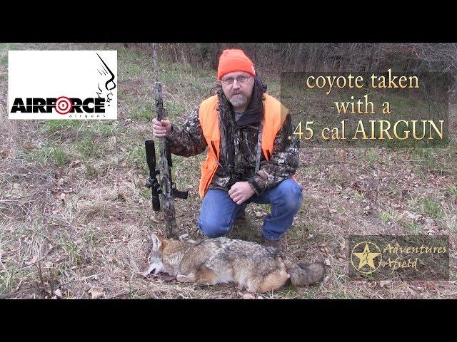 Adventures Afield ep5 pt2, coyote kill with the Airforce Texan