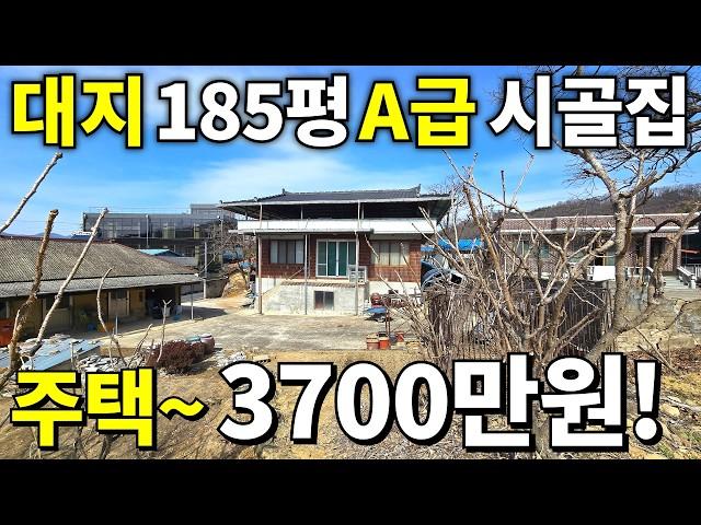 횡재하는 시골집 등장! 대지185평+A급 시골집=집값~3,700만원! 땅값은 몽땅 0천만원! 역대급 폭락