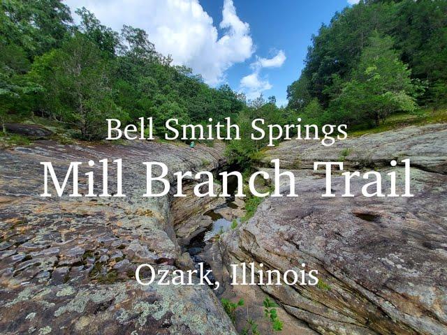 Bell Smith Springs - Mill Branch Trail