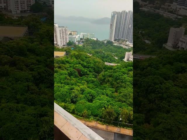 Hongkong weather atm, storm full blast will be tonight..keep safe ya'll #nature #weather #hongkong