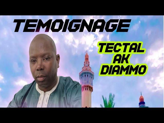 TECTAL ak DIAMMO N•6 (impuissance Sexuelle)