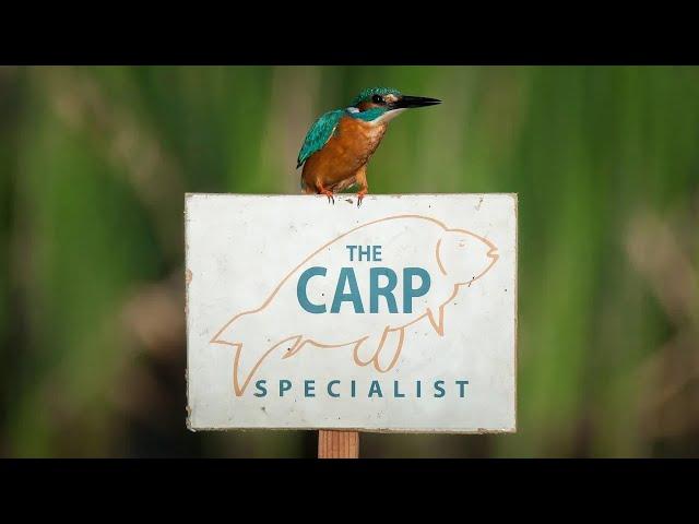 The Carp Specialist - Der größte Anbieter von 1A Angelurlauben für Karpfenangler