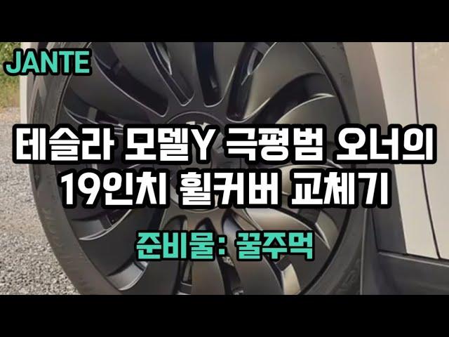 모델Y 19인치 휠커버 교체기 | 단돈 5만원으로 하는 최고의 가성비 드레스업