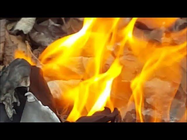 ASMR Small Fire | Burning my Old Gym Bag | by Kim Townsel