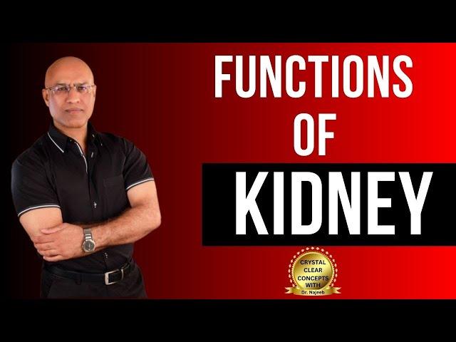 Functions of Kidneys | Physiology and Structure | Dr Najeeb