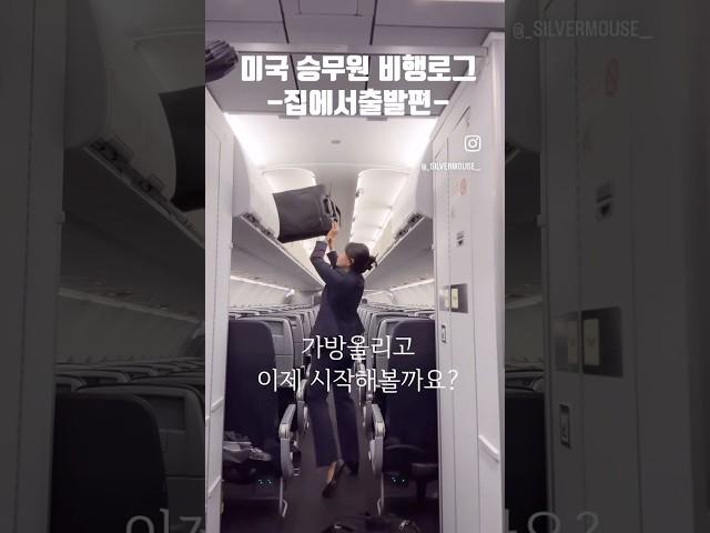 2탄 저 일하는거 구경하실래요? #미국승무원 #승무원 #외항사승무원 #아메리칸항공