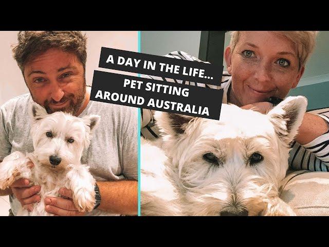 Pet Sitting In Australia (Agnes Water, Queensland)