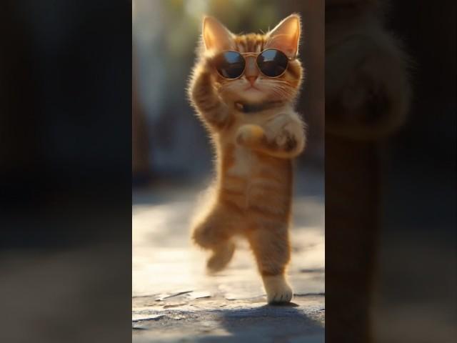 Cat Gangnamstyle Dance   #cat #dance #catdance #petdance #gangnamstyle