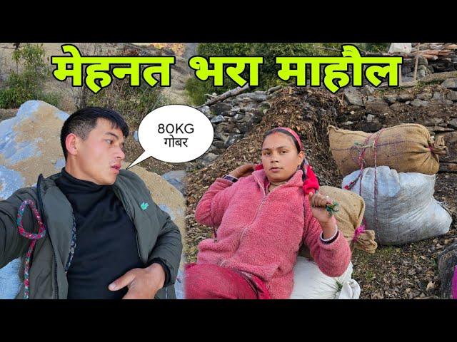 ऐसी मेहनत करके पतिदेव की भी आज हालत खराब हो गई  || Pahadi Lifestyle Vlog || Devbhoomi & Family