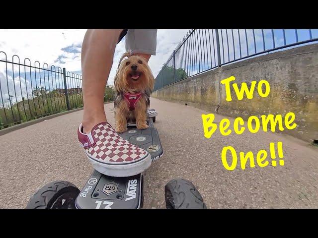 FINALLY! Two Become One! Lexi Yokie Puppy Riding Evolve Electric Skateboard! Filmed with Insta One X