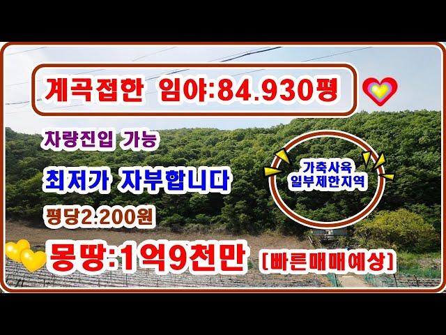 [넓은 임야] 계곡접한 임야 84.930평 전기 차량도 진입가능 --최저가 자부합니다— 평당2200원 [빠른매매예상]