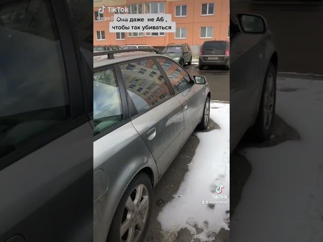 Audi A6C5 Quattro & Tesla Model 3 Long Range