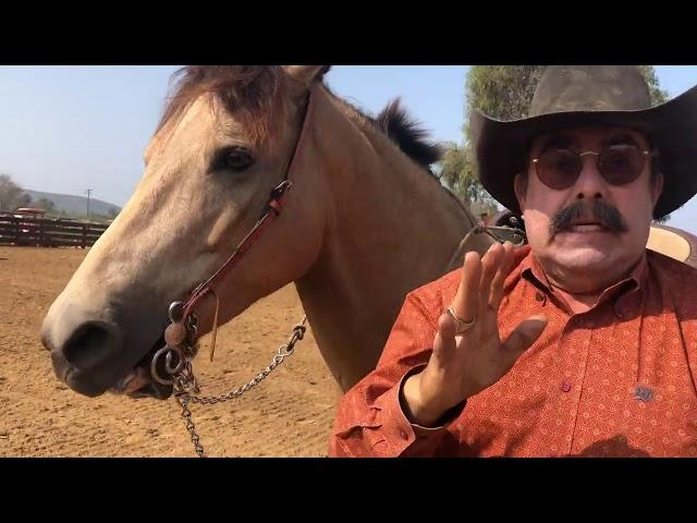 Bajador lo peor para un caballo