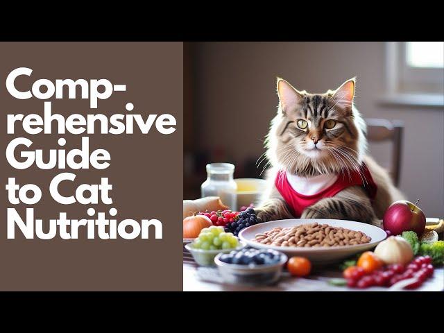 Comprehensive Guide to Cat Nutrition