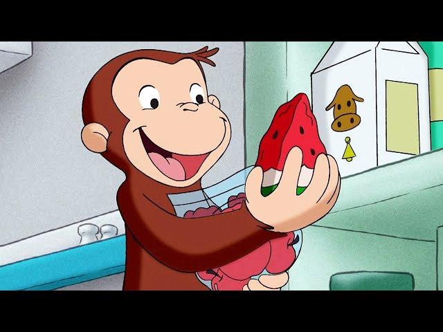 George O Curioso  George do Sucos Episódio Completo  Desenhos Animados